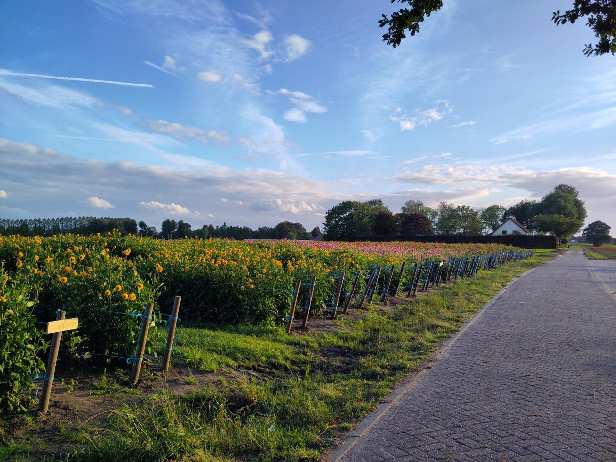 Bed and Breakfast 'T Voske Zundert Экстерьер фото