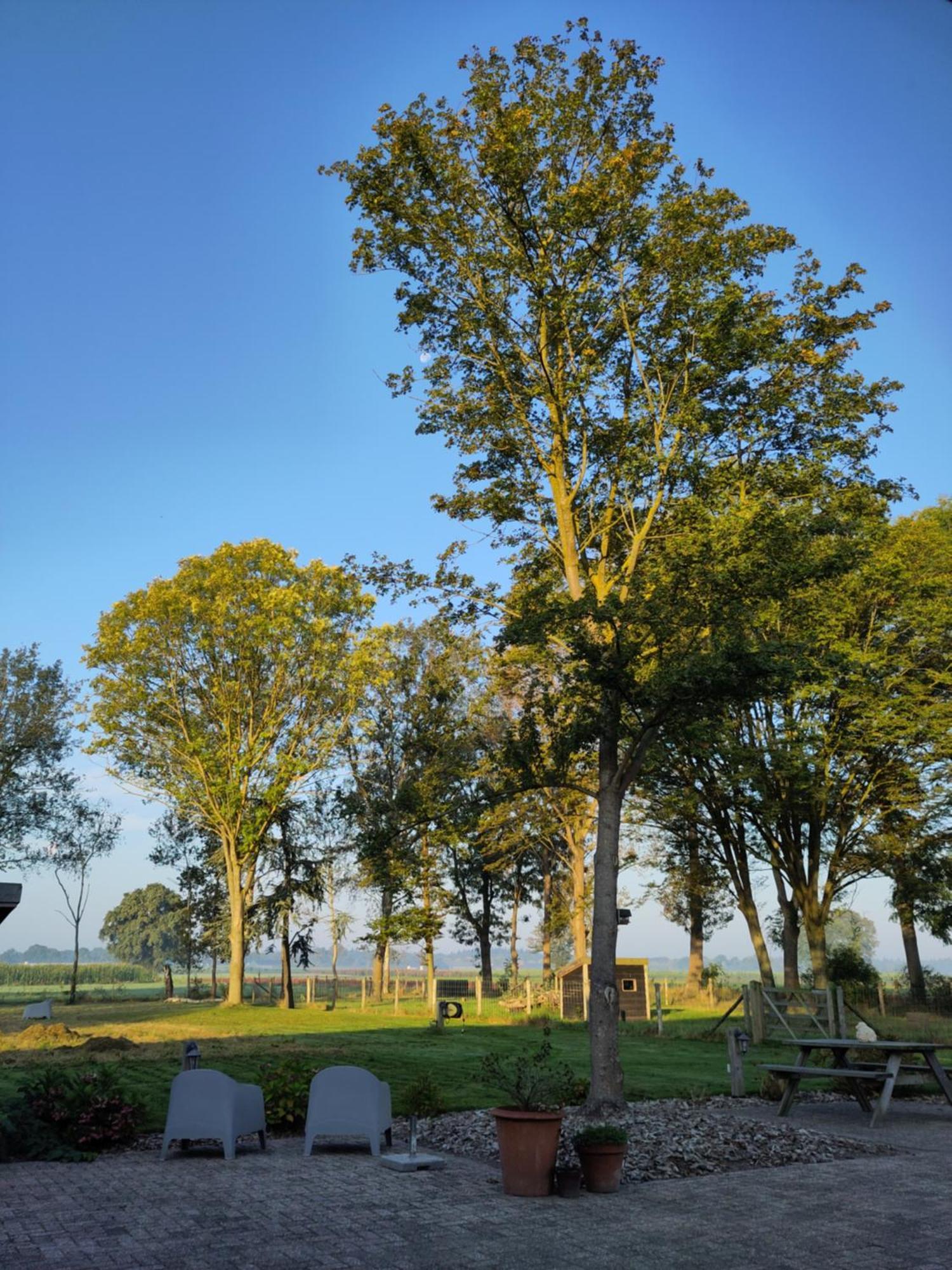 Bed and Breakfast 'T Voske Zundert Экстерьер фото